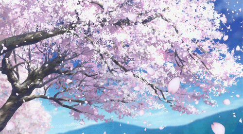 Hasil gambar untuk bunga sakura gif