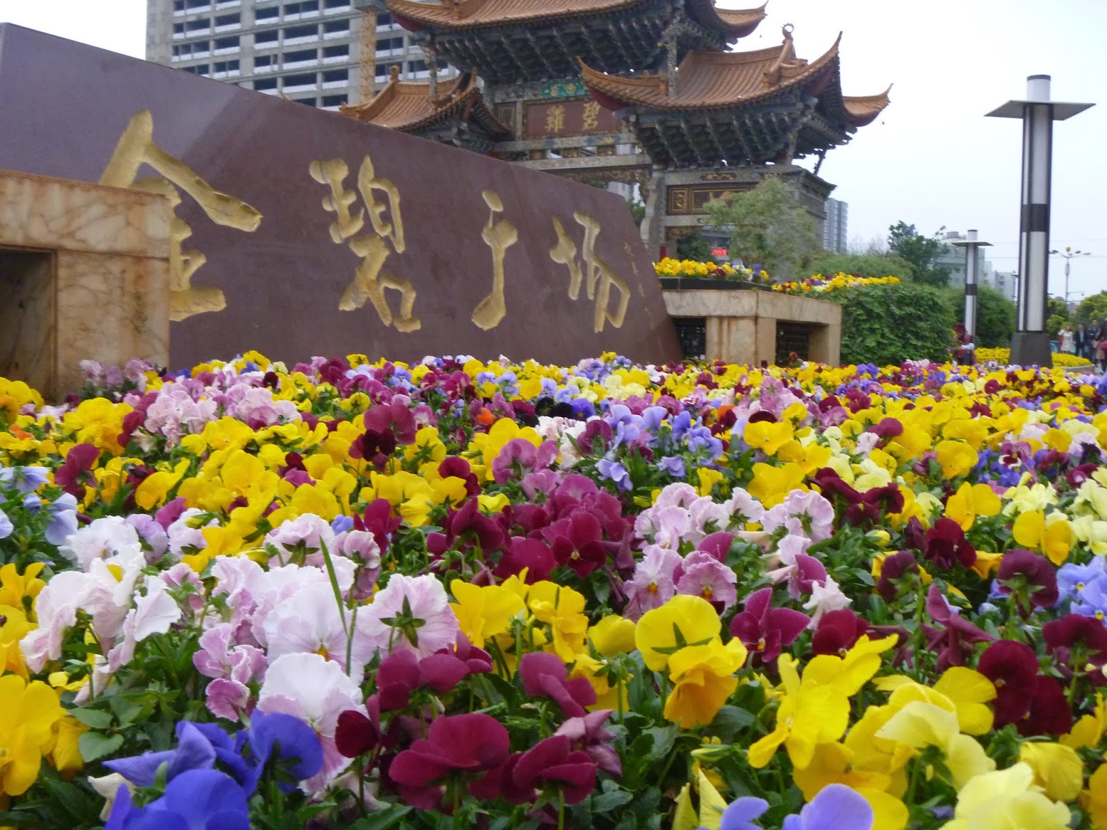meiyangyang Beautiful Kunming "City of Eternal Spring"!!!!!!!