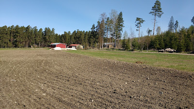 Kasvulohkojen raja