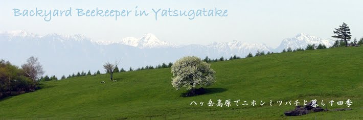 八ヶ岳高原で日本ミツバチと暮らす四季