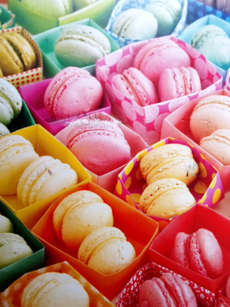 Mail Adventures Macarons