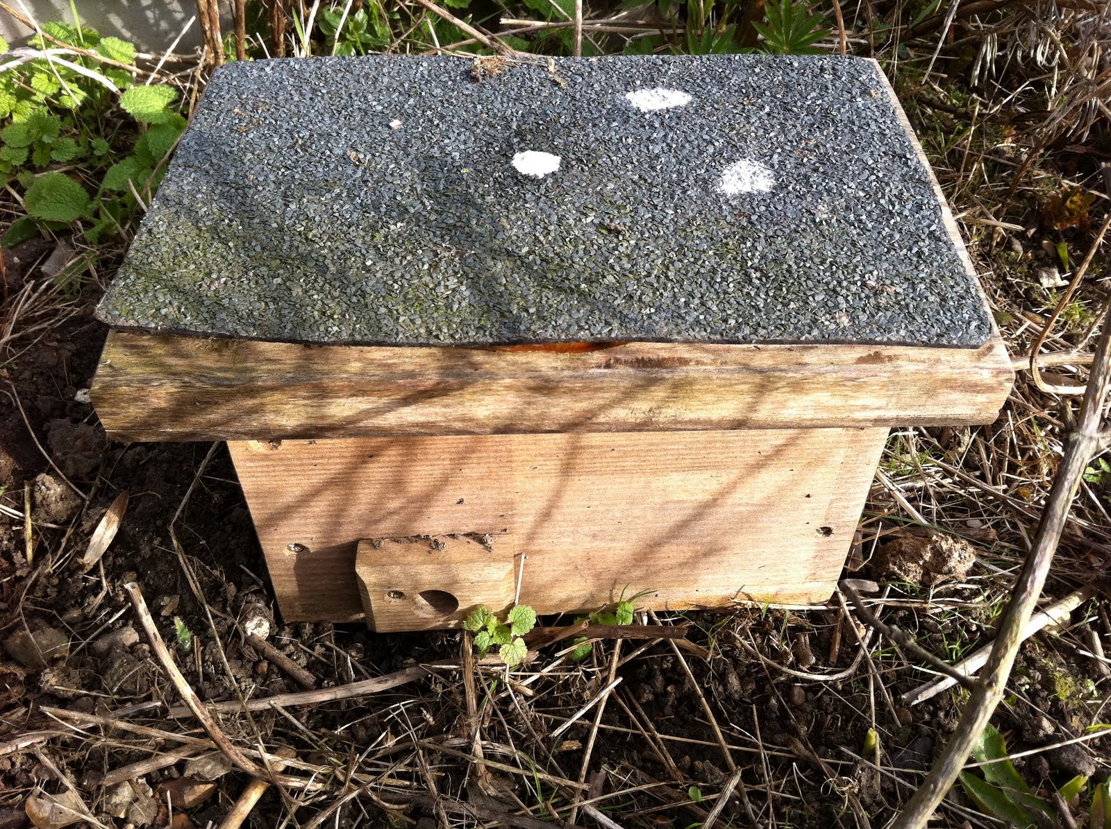 Gary's Garden: Wildlife Gardening Part 3 Bee Boxes 