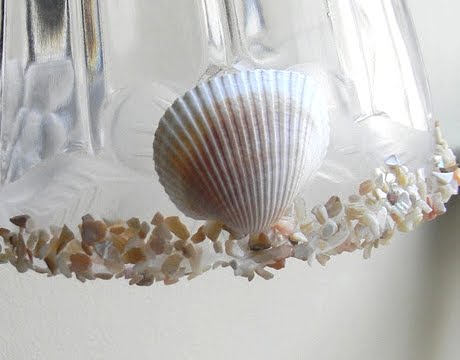 crushed shells on glass