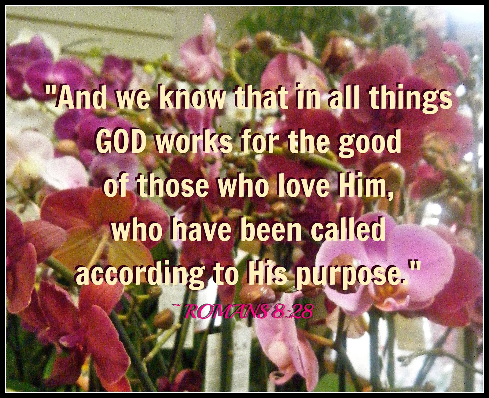 Flowery Blessing: "And we know that in all things GOD works for the ...