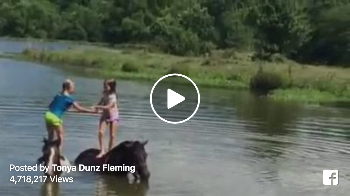 Little Girls Use Their Horses as Diving Boards