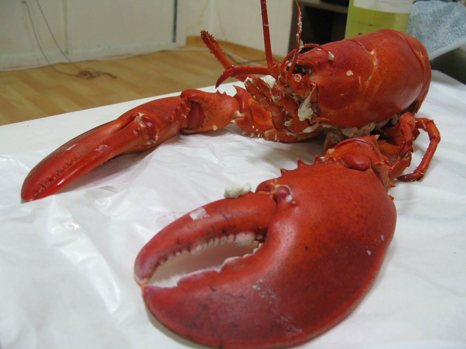 Knifing Forking Spooning King Crabs and Lobsters at Noryangjin Fish Market