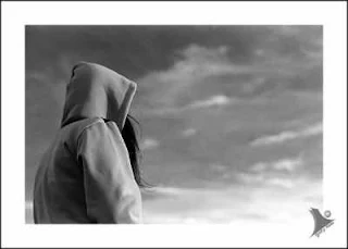 7hob.com135237015318