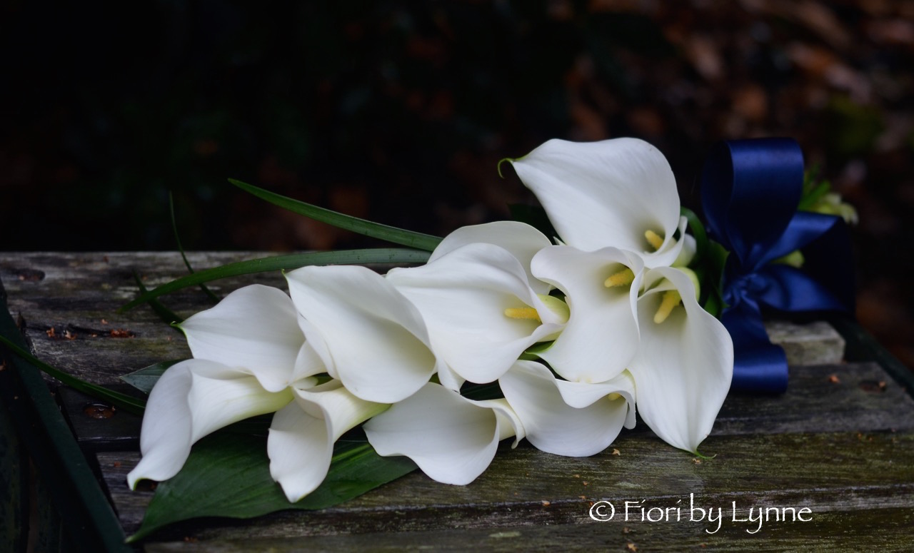 Wedding Flowers Blog Carol's Simple, Elegant Wedding Flowers in Whites