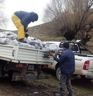 Noticiasdelbolson: El Manso ya embolsa la leña del plan calor