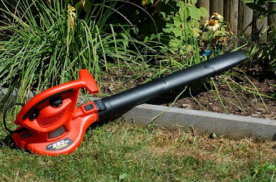 Best Time to Use Leaf Blower