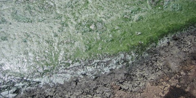 Nitrogen Revolution: Study breathes new life into 2.3 billion year old ‘Great Oxidation Event’ Nitrogen Revolution: Study breathes new life into 2.3 billion year old ‘Great Oxidation Event’