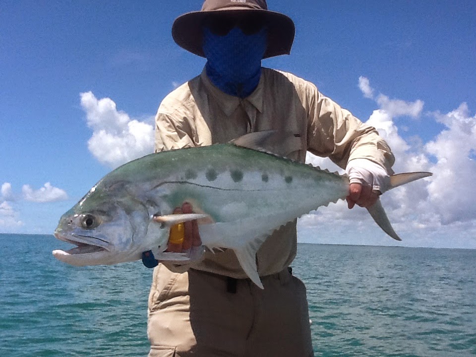 Saltwater Fly Fishing (SWOFFING) Darwin, NT My SWOFFING (saltwater fly