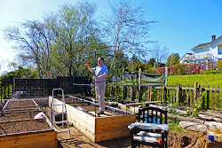 aldi greenhouse easter might blown won try know don summer down