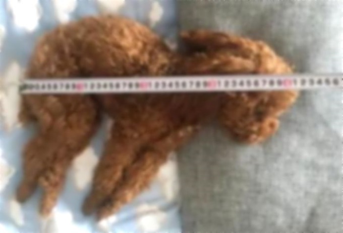 이미지에 대체텍스트 속성이 없습니다; 파일명은 b4lg6330l1nu8djf3gmu.jpg 입니다.