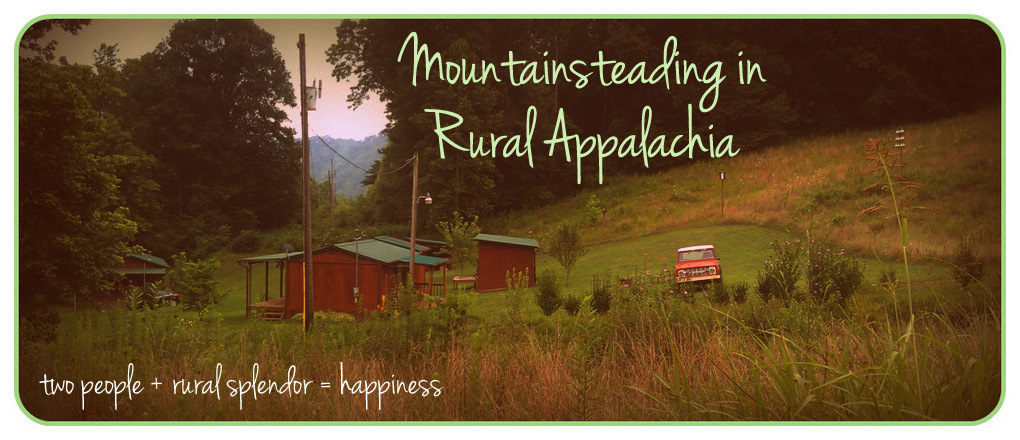 mountainsteading in rural appalachia