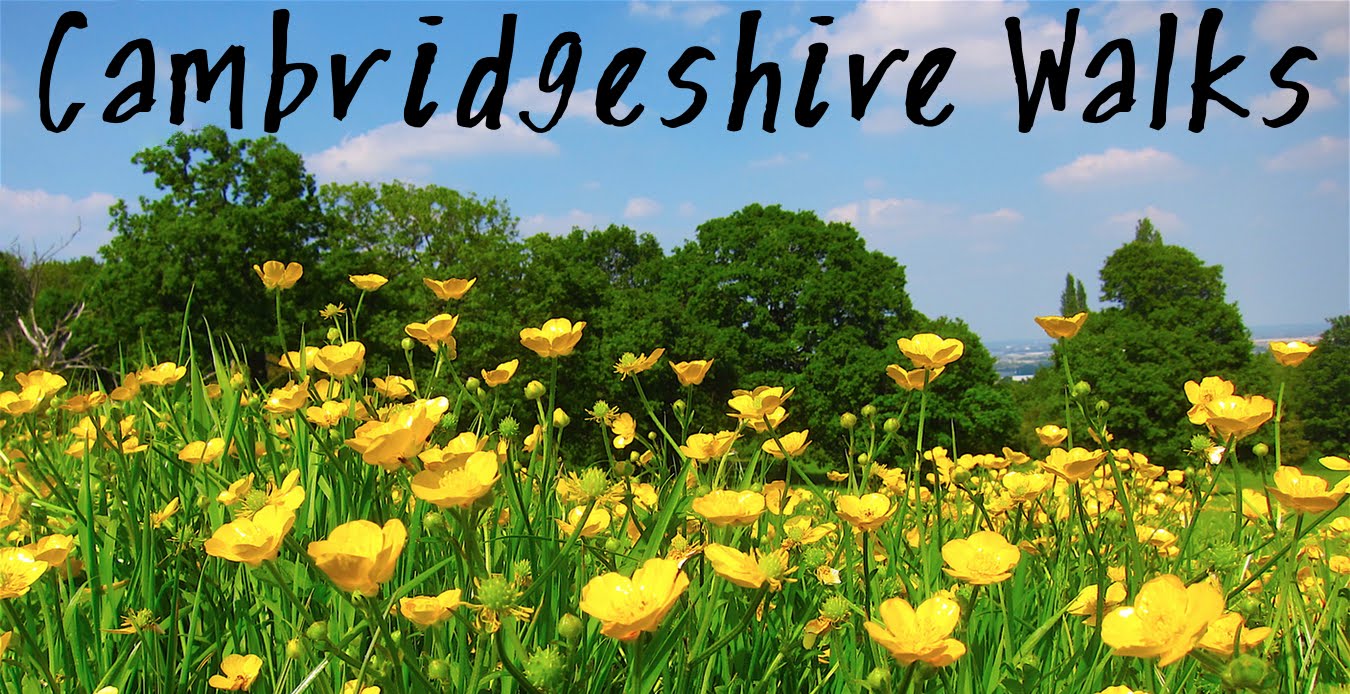 Cambridgeshire walks Somersham Nature Reserve and Lake