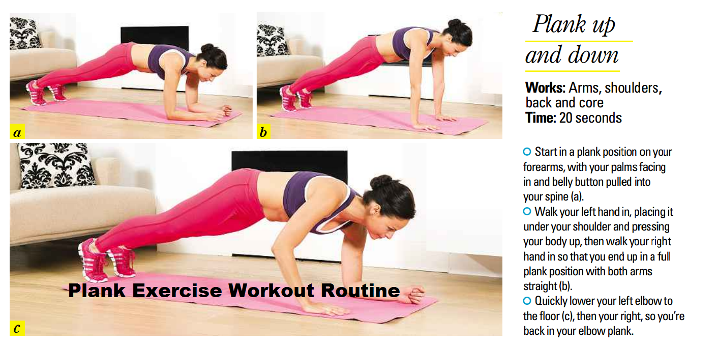 June 2013 Plank Exercises Routine Plank Variations