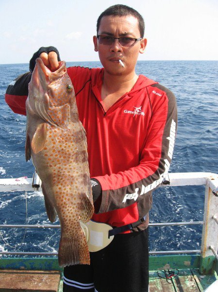 Harga Ikan Haruan Tasik : #Fishing #HaruanTasik #GabusLaut Haruan Tasik