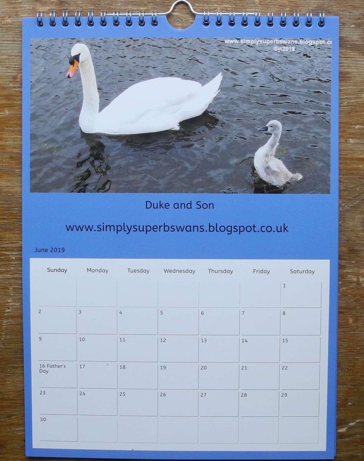 Simply Superb Swans NEW TRUST CALENDAR