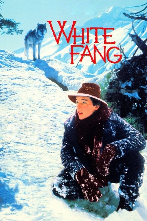 Zanna Bianca Un piccolo grande lupo 1991 Film Completo In Inglese jpg (500x750)