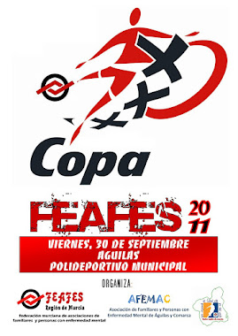 CARTEL DE LA COPA 2011