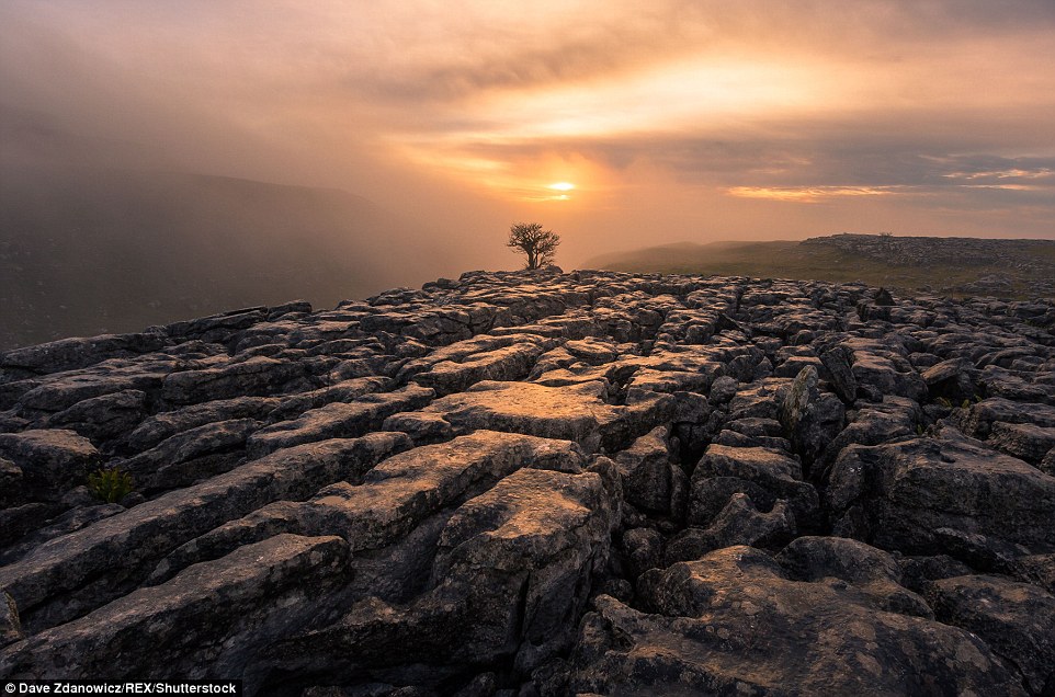 32EC59E100000578-3528038-image-a-45_1460