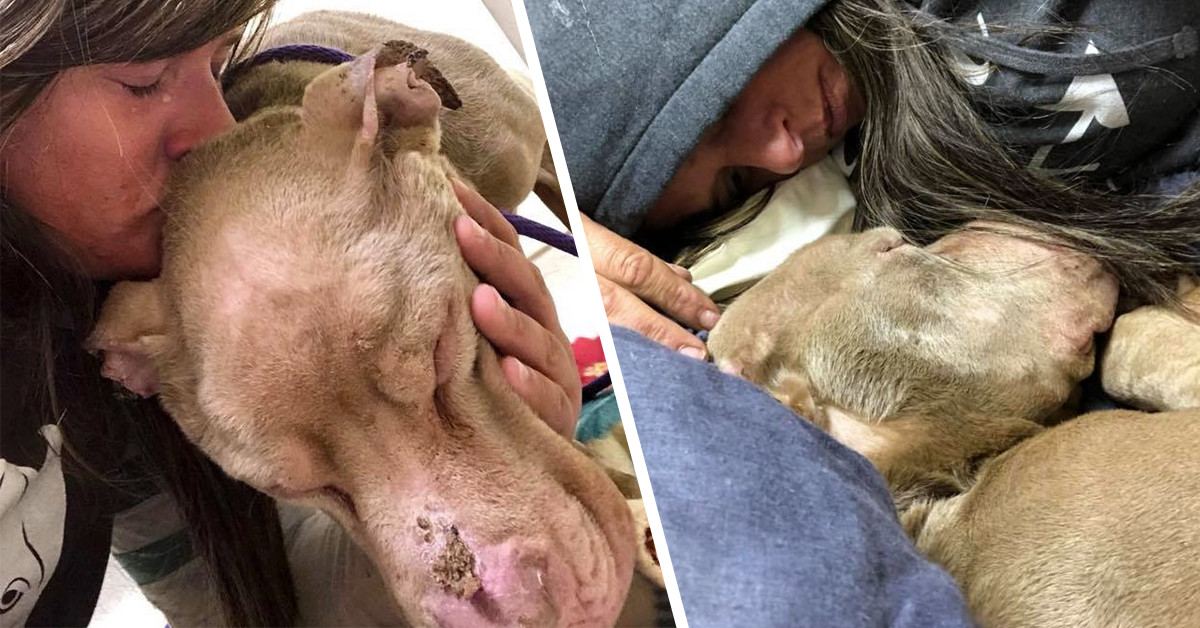 Woman Spends The Night In A Shelter Holding A Dying Dog