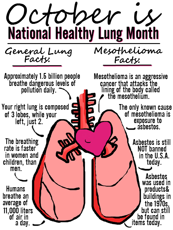 October is National Lung Health Month- What do you know about your lungs?