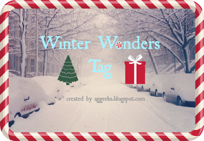 Winter Wonders Tag