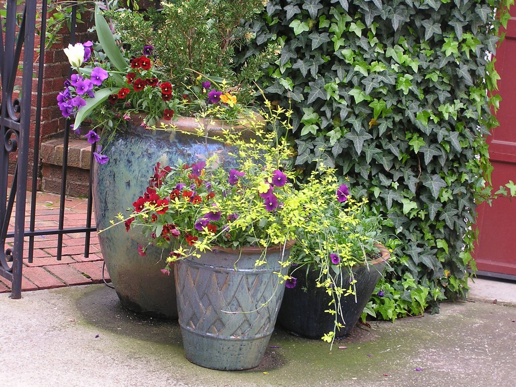 paradis express AW Pottery, Atlanta