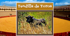 TENDILLA DE TOROS