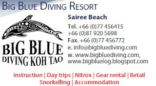 Big Blue Diving Resort