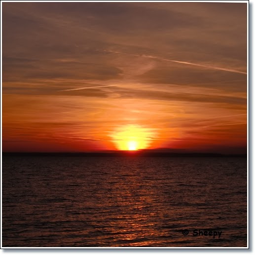 Sheepys Wolliges Landleben Ein Schoner Tag Und Ein Wunderbares