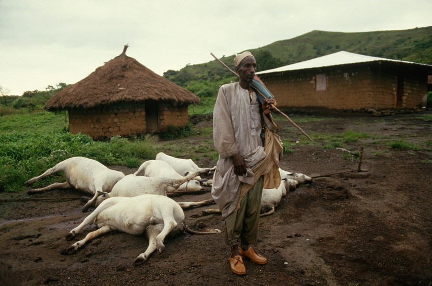 - Joseph Nkwain, a father and farmer in Cameroon survived the Lake Nyos eruption but he was unable to save his daughter - Joseph Nkwain, a father and farmer in Cameroon survived the Lake Nyos eruption but he was unable to save his daughter