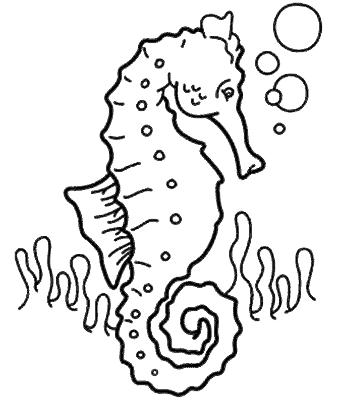 ocean wildlife coloring pages - photo #22