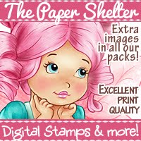 The paper shelter challemge