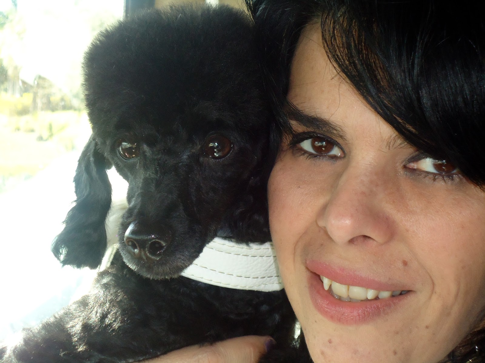 Kiki Hamann Canine Couture Haute Living Plus Dog Styling Your Dog