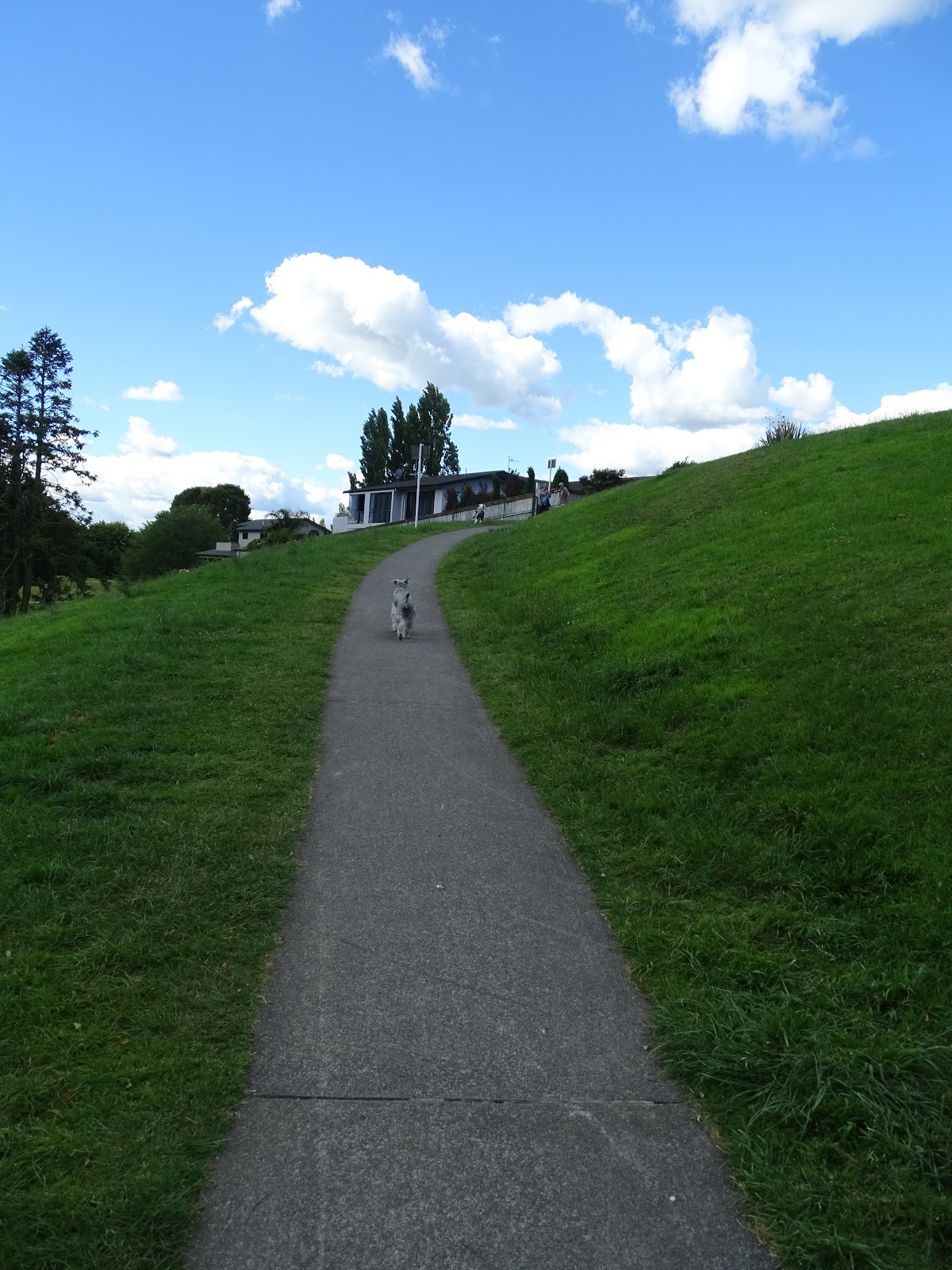 over the hill Day's Park Hamilton