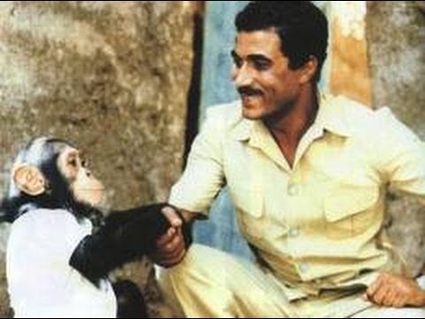 نظرة أحمد زكي رحلة من العثرات صنعت الأسطورة