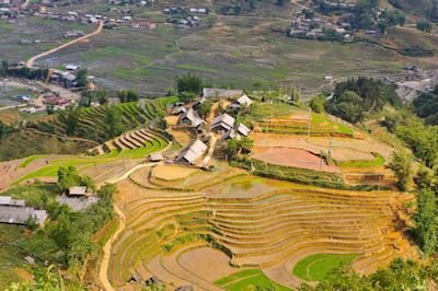 Terrazas de Arróz en el pueblo de Ta-Van, Vietnam. - Valle de Muong Hoa
