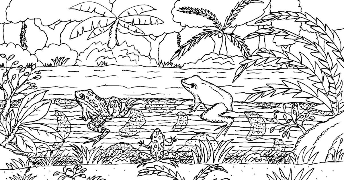 Robin's Great Coloring Pages: Poison Dart Frogs