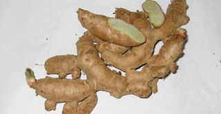 obat wasir berdarah di apotik