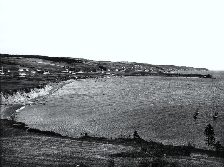 L'aventure continue Tousse, tousse, tousse