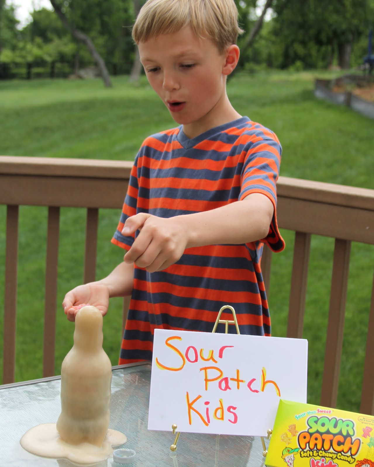 The Jenkins Family First Science Fair