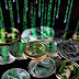 Дикий Захід ICO: як вас обманюють з криптовалютами
