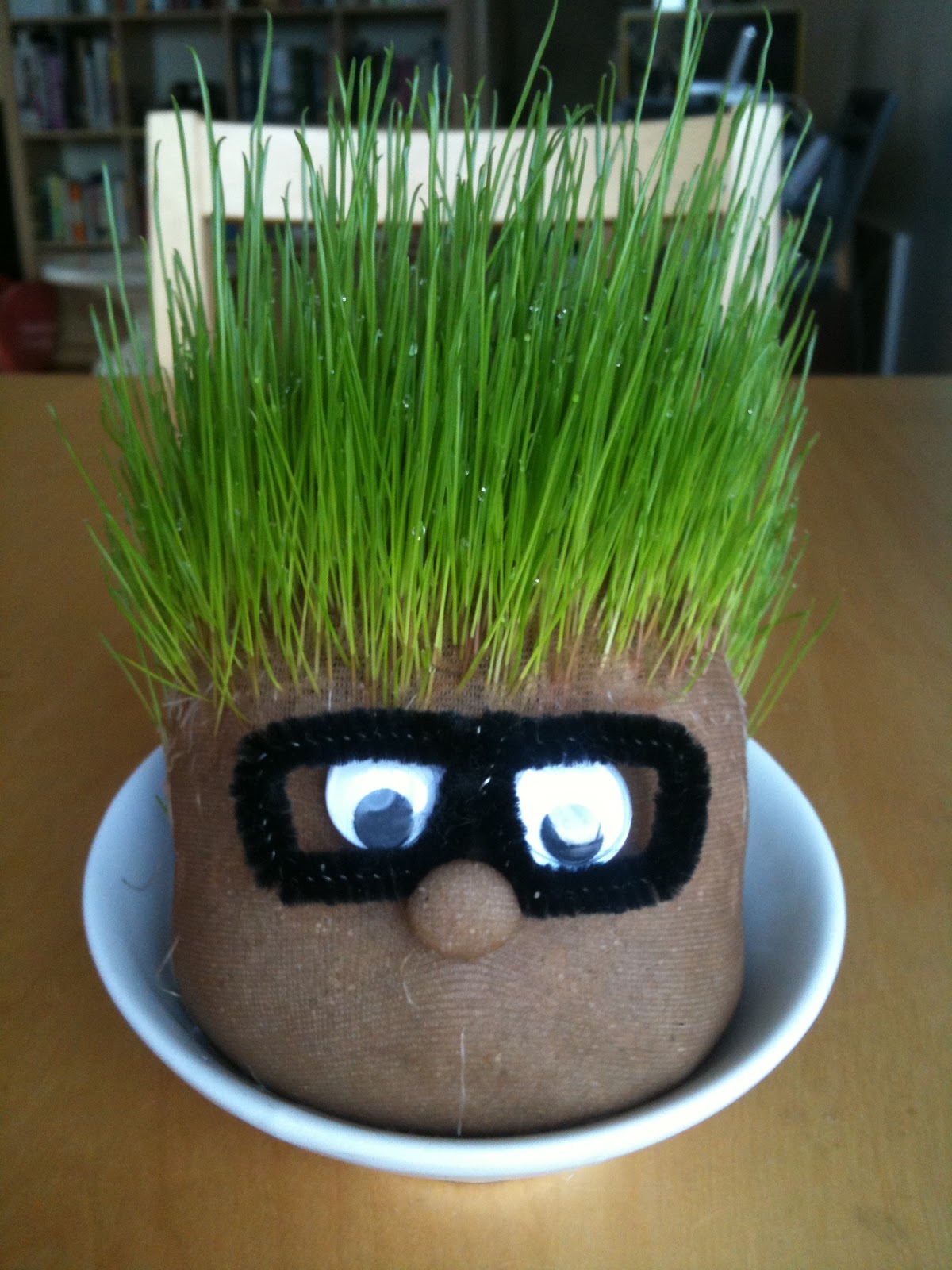 ...and live!: Relive your childhood dreams and make your own chia pet!