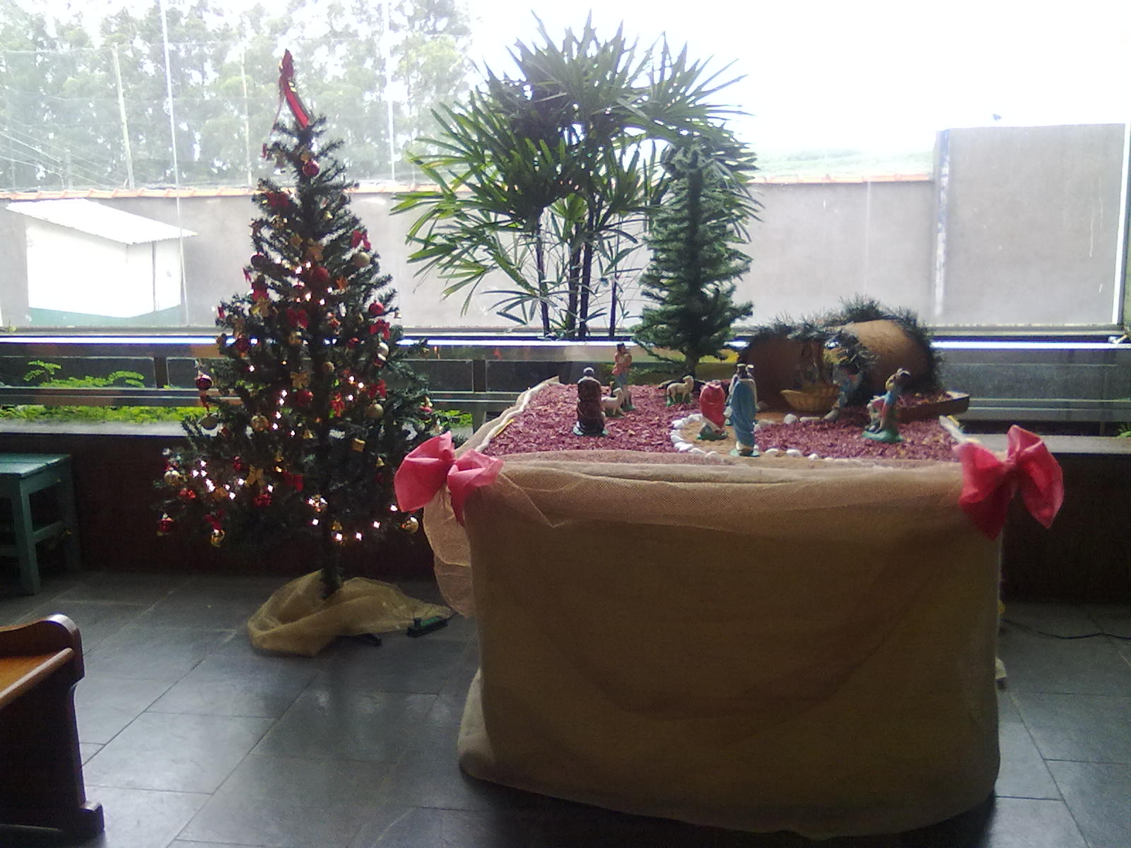 Catequese Santa Edwiges Preparando para o Natal