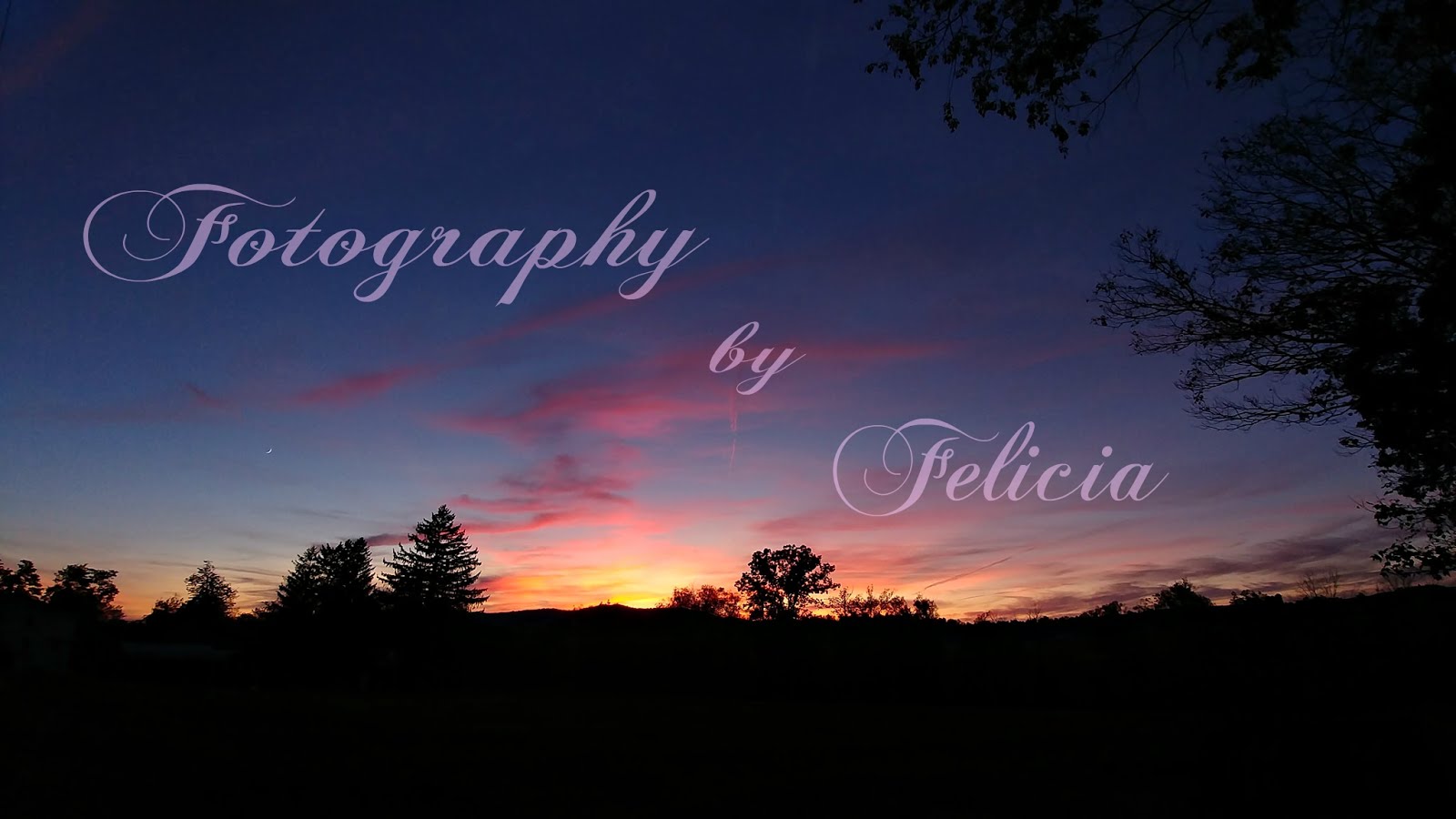 Fotography by Felicia