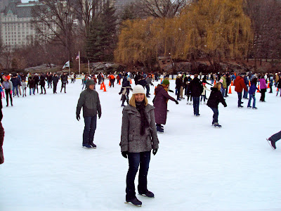 Central Park Ice Skating Rink
