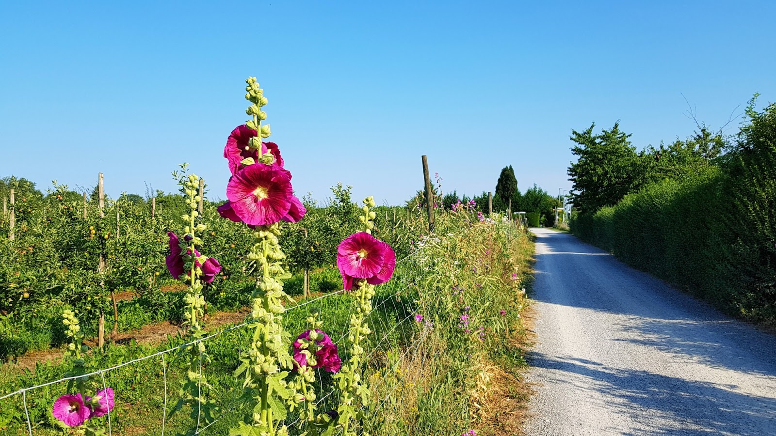 Kleines Lager Sommerferienfreizeit Der Se Zell A H Allgau